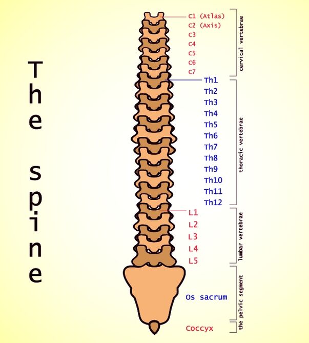 ágyéki osteokondrózis